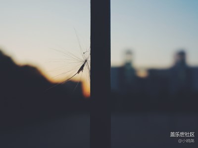 最美的時(shí)光