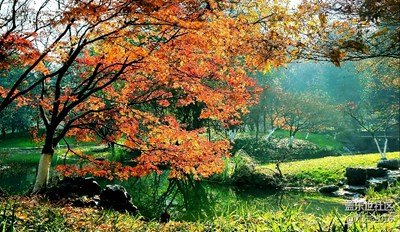 【不一樣的冬  不一樣的南北】+冬日小景