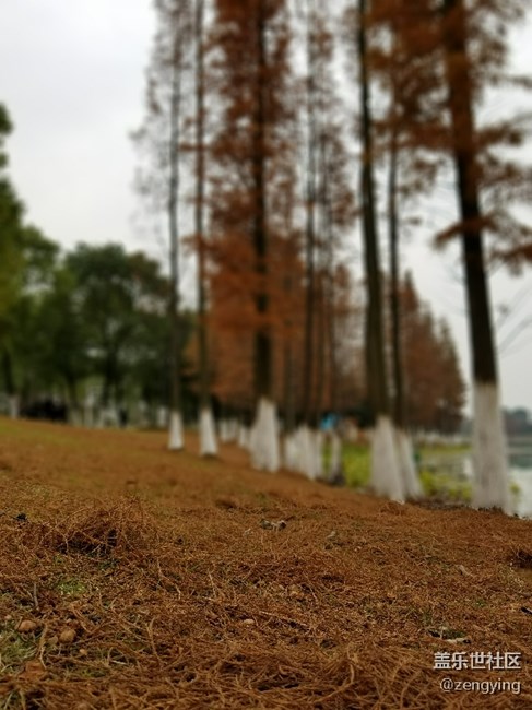 我的專用相機(jī)S8