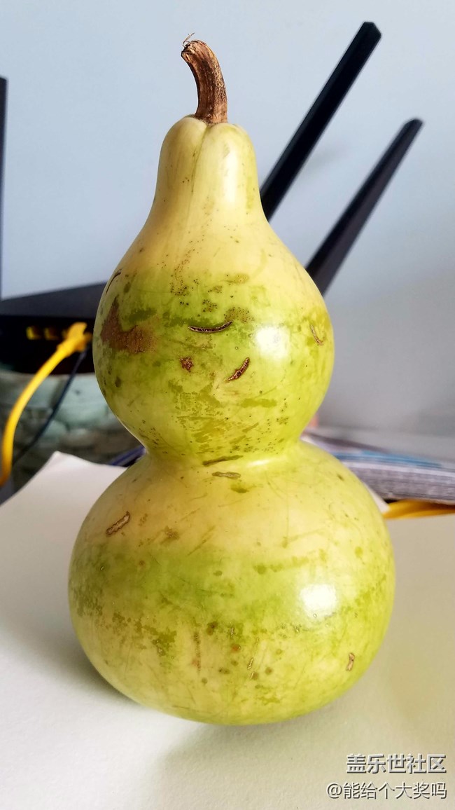 攝像頭有點瑕疵，