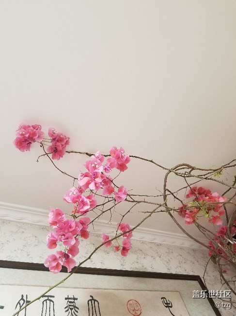 愛不釋手，值得擁有，蓋樂世