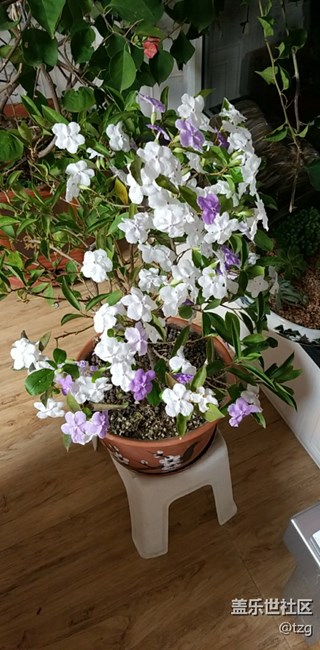 愛不釋手，值得擁有，蓋樂世