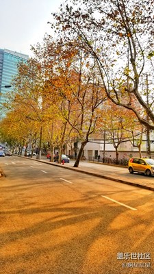 上海比深圳美太多了，