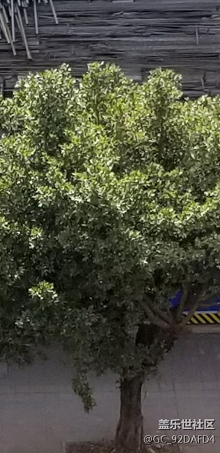 請(qǐng)問這樣正常嗎？