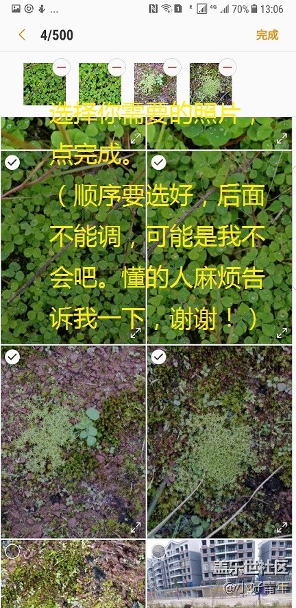 新年了，讓靜止的照片動(dòng)起來，讓單調(diào)的好聽起來。