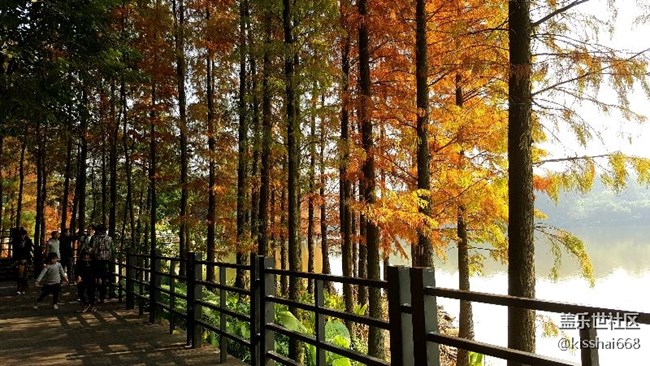 2018年第一貼?????