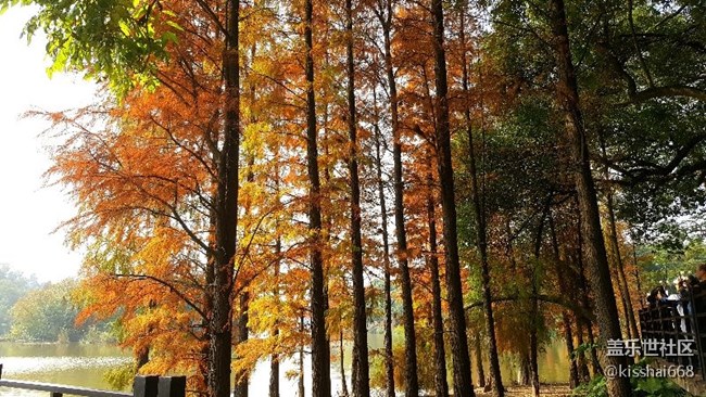 2018年第一貼?????