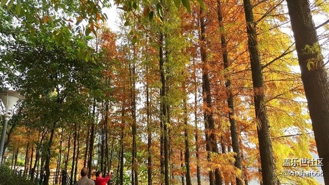 2018年第一貼?????