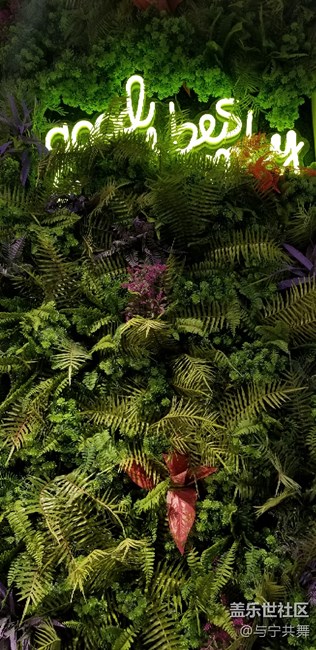 新年快樂(lè)！