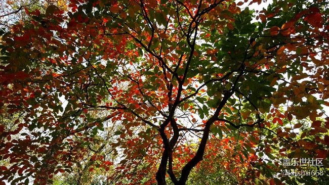 2018年第一貼?????