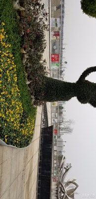 美麗湘潭。。。。