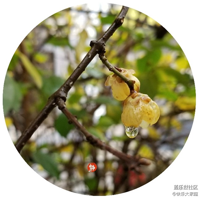 你的手機(jī)能拍出這樣的照片嗎