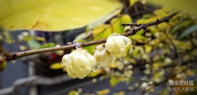 你的手機(jī)能拍出這樣的照片嗎