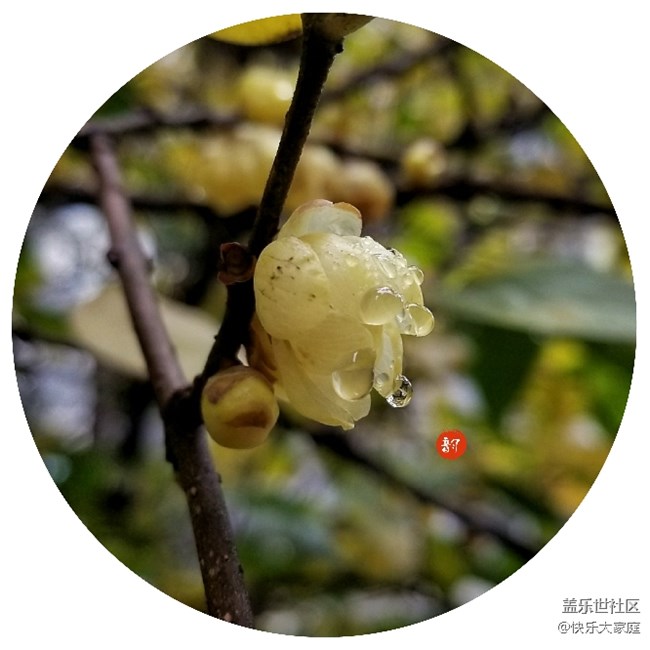 你的手機(jī)能拍出這樣的照片嗎