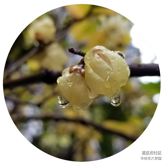 你的手機(jī)能拍出這樣的照片嗎