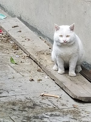 【回望2017】+ 2017的點點滴滴