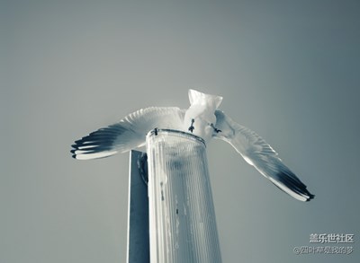 拍才知道+生活該有的樣子，巴塞羅那人文篇