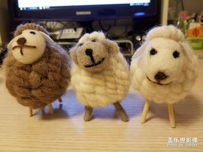 【回望2017】+ 2017年入的那些玩具們