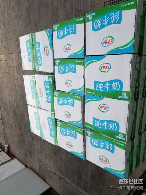 喵星人 工作不忘拍照