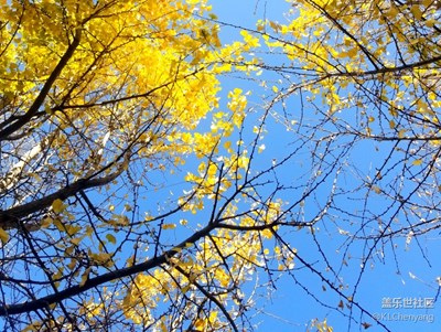 蓋世樂影像-S8－秋魂