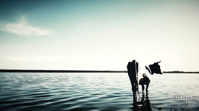 每周精帖匯【第86期： 蓋樂世S8 4G+智版正式開賣啦！】