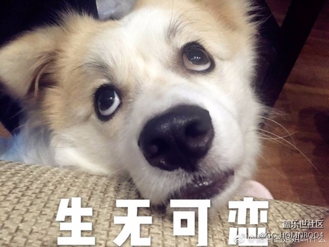 換屏多少錢(qián)？？