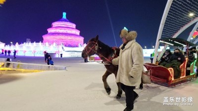 【在路上】+哈爾濱之冬