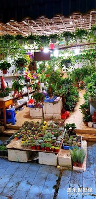 又來(lái)逛一下看看