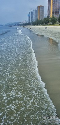 海灘、日落、貝殼、鮮花……2018.01.21一個發(fā)呆的日子[囧]