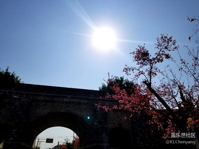 S8－風(fēng)景－陽光