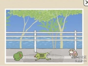 青蛙旅行攻略
