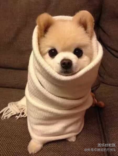 今日份碎碎念2018.1.25