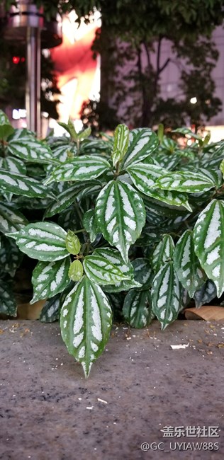 朋友送的，使用后感覺體驗(yàn)還不錯(cuò)