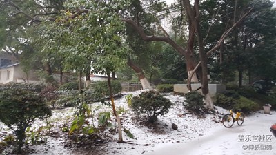 2018長沙第一場雪...