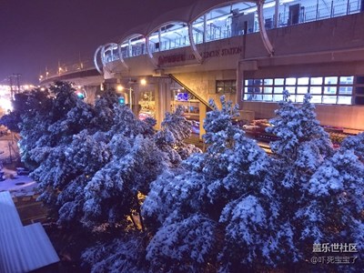 昨天上海終于下雪啦，真美