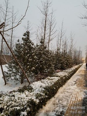 西安的第二場雪