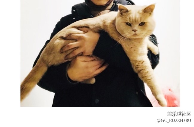 求助，7p想轉(zhuǎn)戰(zhàn)n8，國航美版不知如何選擇？求大神！噴子繞道