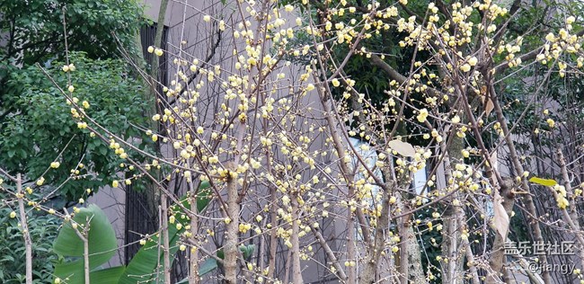 拍照強(qiáng)大的NOTE8