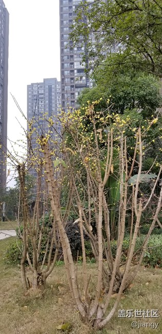 拍照強(qiáng)大的NOTE8