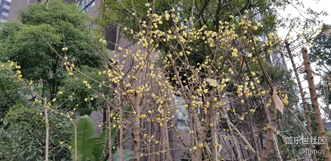 拍照強(qiáng)大的NOTE8