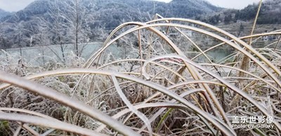 極寒天氣。。。