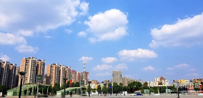 手機(jī)拍照哪家強(qiáng)- -