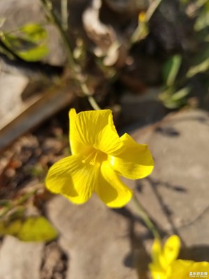 涼山彝族自治州