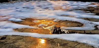 校園·雪融時分