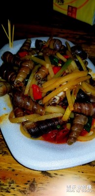 還是路邊攤好吃