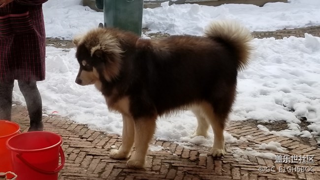 三星S8到底何時(shí)更新8.0？？