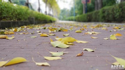 落葉知時(shí)節(jié)