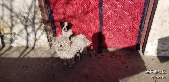 note8, 息屏?xí)r間怎么它自己老是調(diào)時(shí)間啊。