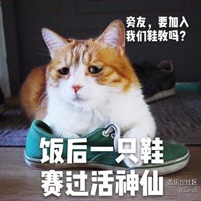 年關(guān)...鞋教收人