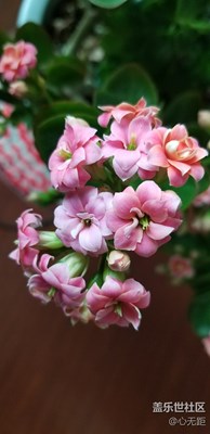 春花一小組兒@Note8 夜光也非常出色！